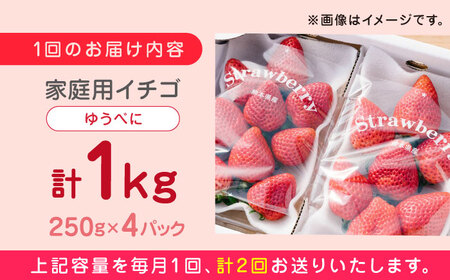 【先行予約】【全2回定期便】ゆうべに いちご セット 250g×4P 農園直送 産地直送 熊本県産 いちご イチゴ 苺 山都町産 いちご 完熟 いちご イチゴ 苺 いちご狩り 家庭用 いちご イチゴ 