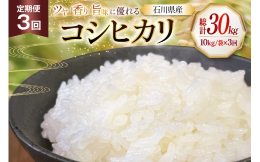 米 令和8年産 3回 定期便 特別栽培米 コシヒカリ 10kg [農事組合法人かさの郷 石川県津幡町 tb17bgj610010] お米 こめ 令和8年 こしひかり 10キロ おこめ ご飯 ごはん ゴハン 精米 白米 コメ kome 定期 3ヶ月 石川県産