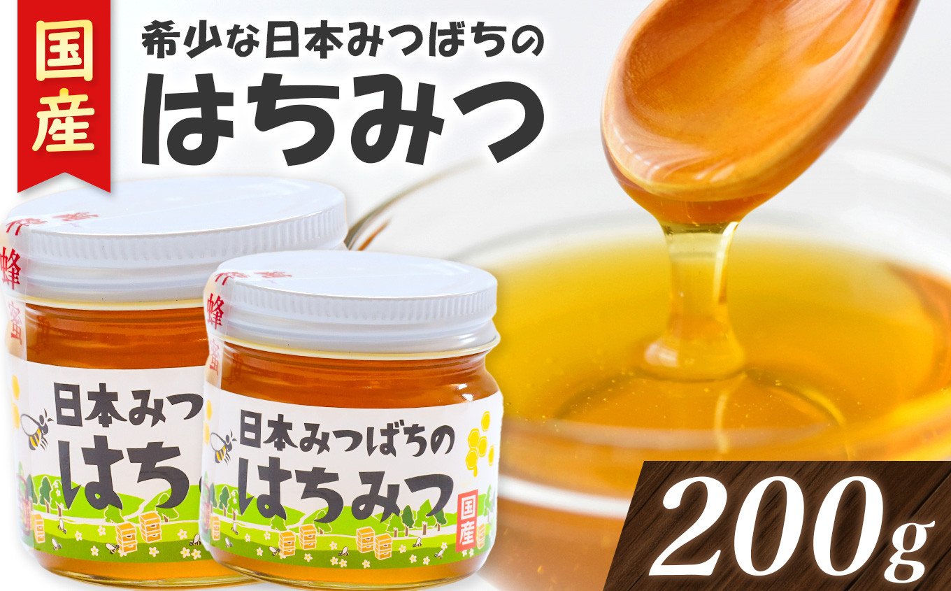 
            希少 日本みつばち の ハチミツ 100g×2個 | 国産蜂蜜 国産はちみつ 蜂蜜 はちみつ ハニー 日本蜜蜂 人気 天然 産地直送 熊本県 玉名市
          