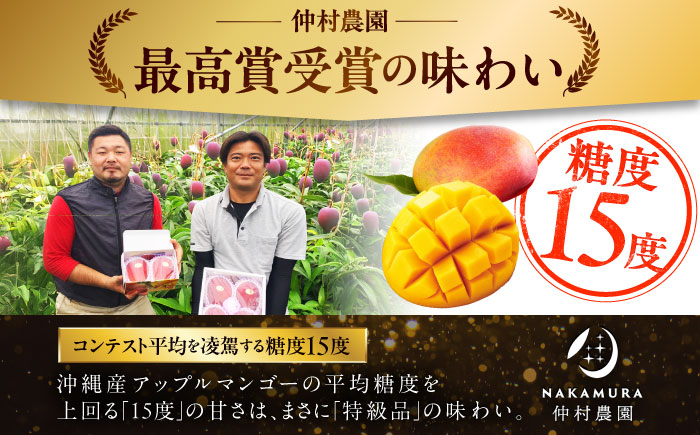 【家庭用】仲村農園の完熟アップルマンゴー 1kg マンゴー 沖縄 果物 フルーツ ギフト 沖縄市 / 仲村農園 [BCCU004]