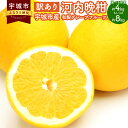 【ふるさと納税】 訳あり 河内晩柑 ジューシーオレンジ 【選べる内容量】約4kg もしくは 約8kg 【2025年3月下旬から2025年7月下旬発送予定】オレンジ みかん ミカン 蜜柑 柑橘 熊本県 宇城市 送料無料