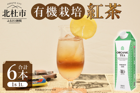 三井農林 WN(ホワイトノーブル紅茶) 有機栽培紅茶 1L×6本 有機栽培紅茶 無糖 紅茶 ホワイトノーブル 1L 1000ml×6本 紙パック アレンジティー 飲料 日東紅茶 業務用 優雅 贅沢 ティータイム 山梨県 北杜市 [h347]