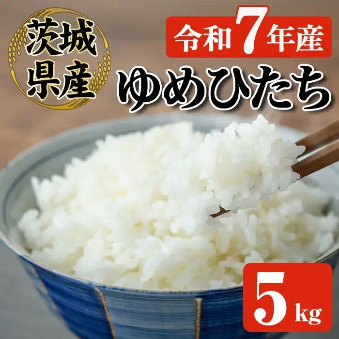 米 ゆめひたち 5kg 令和7年 【米】【ho1697】