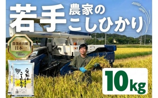 【10kg：11月発送】《令和8年産 新米》若手農家のこしひかり 5kg 10kg 選べる お米 おこめ 米 コメ ごはん コシヒカリ ご飯 ブランド米 精米 米 備蓄米 よりおいしい 愛知県 田原市 渥美半島 人気 先行予約 KASUKEN