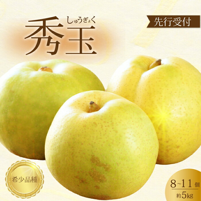 【ふるさと納税】【先行受付】希少品種！秀玉 梨 5kg 2025年9月中旬発送予定 果物 くだもの フルーツ なし 202017