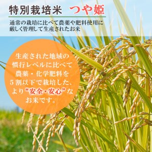 【定期便2回】 令和7年産  無洗米 プレミアムつや姫(特別栽培米) 5kg×2ヶ月(計10kg) FZ21-811