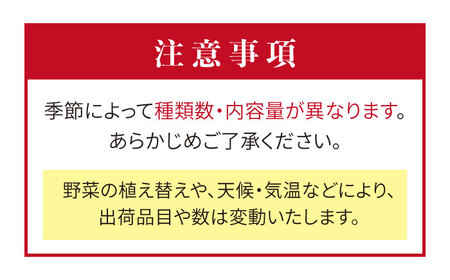 【 全12回 定期便 】 福岡県 糸島産 旬 の 野菜 盛り合わせ セット 《糸島》【株式会社フロンティア・アドバンス】[AWC009]