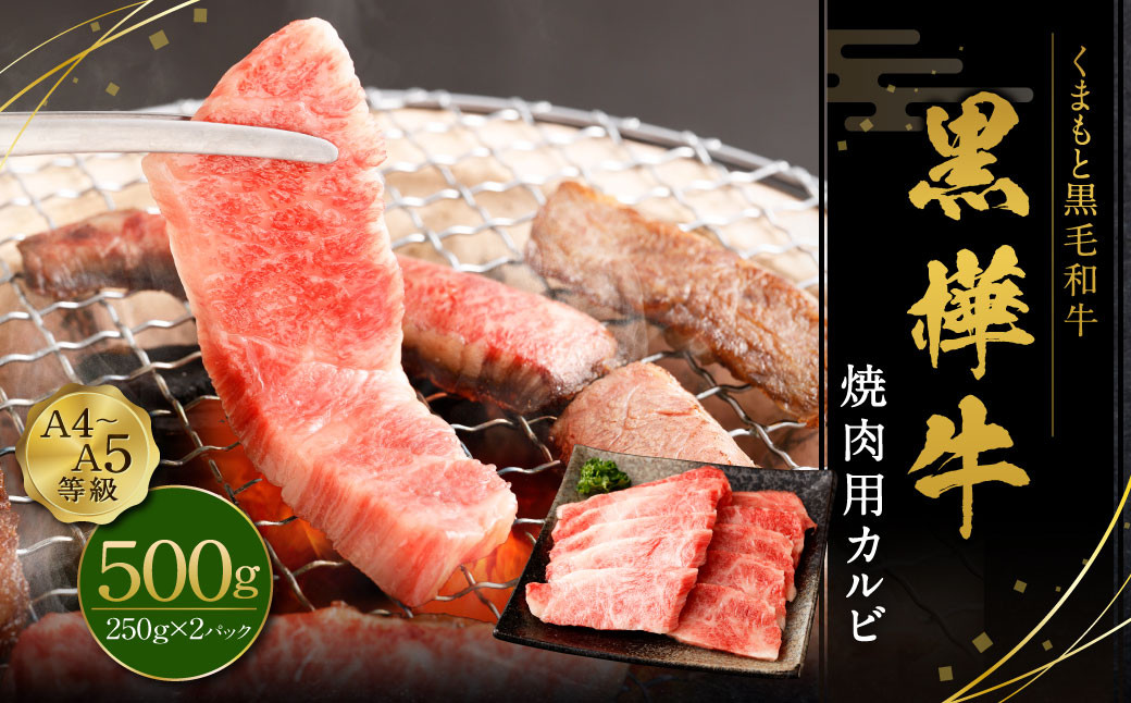 
黒樺牛 焼肉用カルビ 500g（250g×2パック） お肉 肉 牛肉 ブランド黒毛和牛 和牛 黒毛和牛 ブランド牛 焼き肉 焼肉 BBQ バーベキュー カルビ 冷凍 国産 九州産 冷凍
