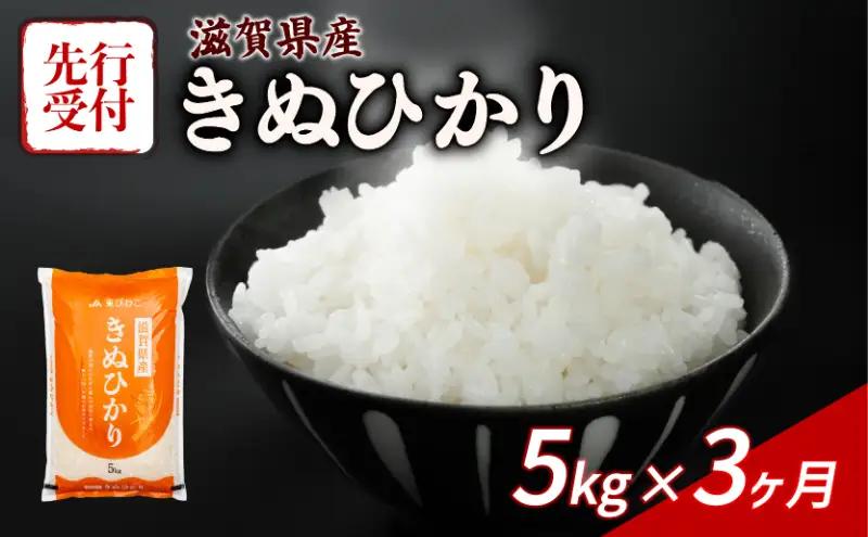 【令和8年産】 先行予約 新米 きぬひかり 5kg 3回定期便 令和8年産 定期便 米 キヌヒカリ