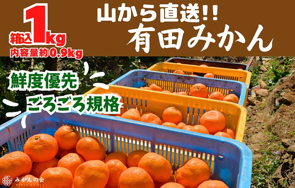 みかん 山から直送 箱込 約1kg(内容量約 0.9kg) サイズミックス 和歌山県産 産地直送 家庭用［2025年11月中旬より2026年1月中旬頃順次出荷予定］［みかんの会］