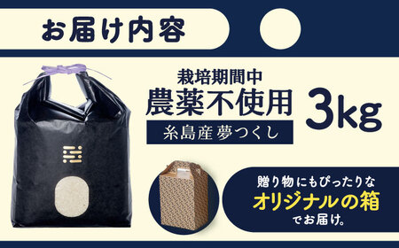 農薬を使わずに育てた 山つき 3kg 夢つくし 吉富町/(株)やました[BGBX009]