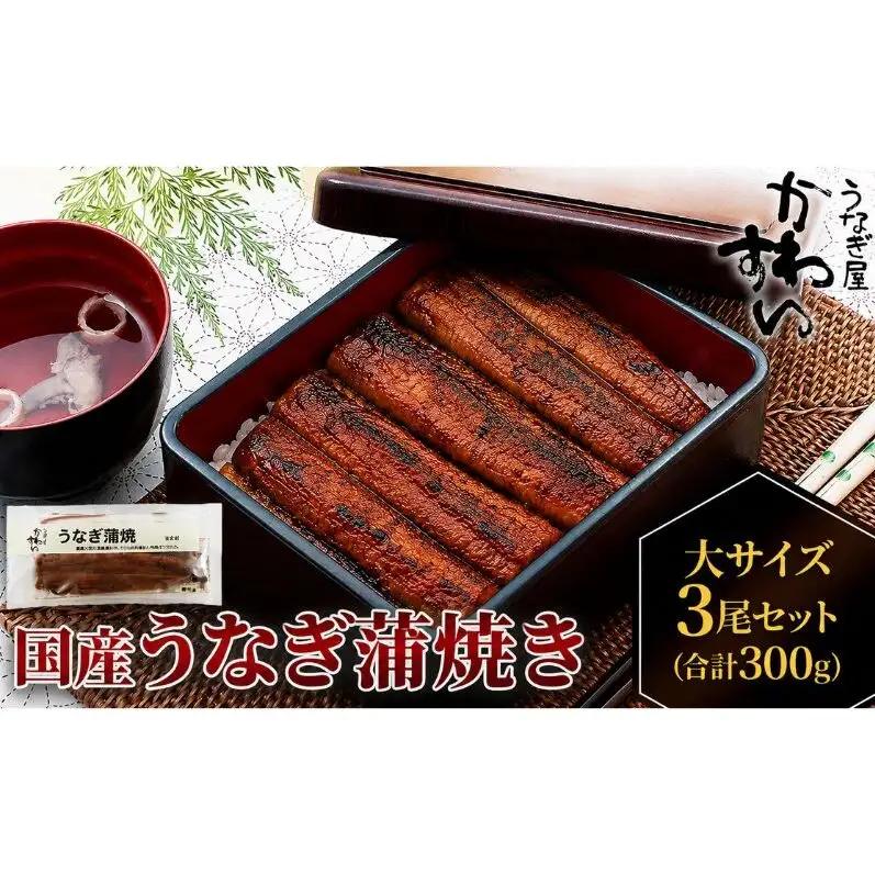 うなぎ 蒲焼き 大サイズ 国産 うなぎ【3尾 計300g】【冷凍】