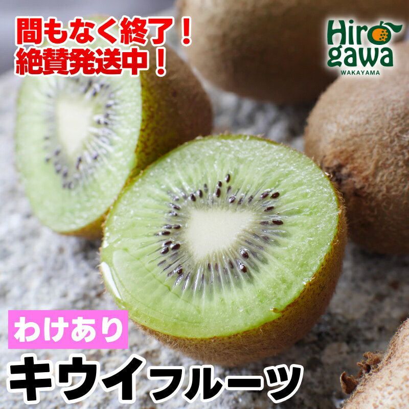 【ふるさと納税】 【即納】 キウイ 家庭用 / キウイフルーツ 訳あり 和歌山 1kg 3kg 5kg 5000円 ※2024年11月中旬～2025年6月中旬に順次発送 ※北海道・沖縄・離島への配送不可 //hokaf
