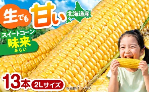 【8月下旬以降順次発送】生でも甘い！スイートコーン 味来 13本 2Lサイズ《喜茂別町》【Aコープようてい】スイートコーン とうもろこし トウモロコシ  味来 北海道 甘い 糖度 味来 朝採り 高糖度 生食 野菜 人気 [AJAK006]