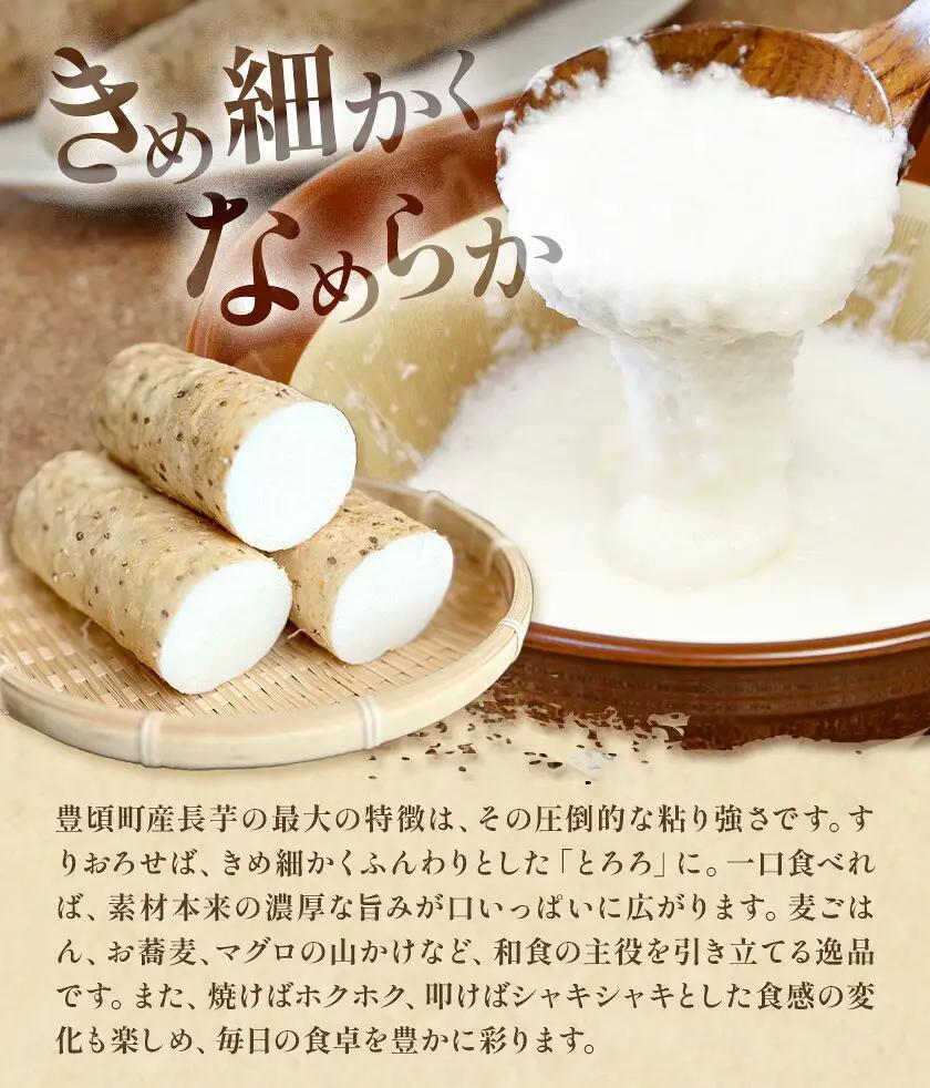 2026年 先行予約【訳あり】十勝豊頃産 ながいも 10kg 植村農場 《12月上旬-12月末頃出荷予定》