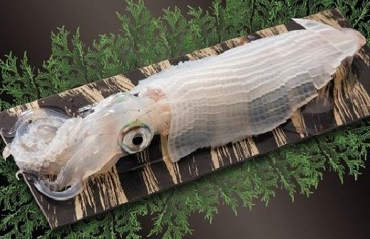 CAS冷凍した剣先イカは、多くの方から食べやすいとのコメントをいただいています。