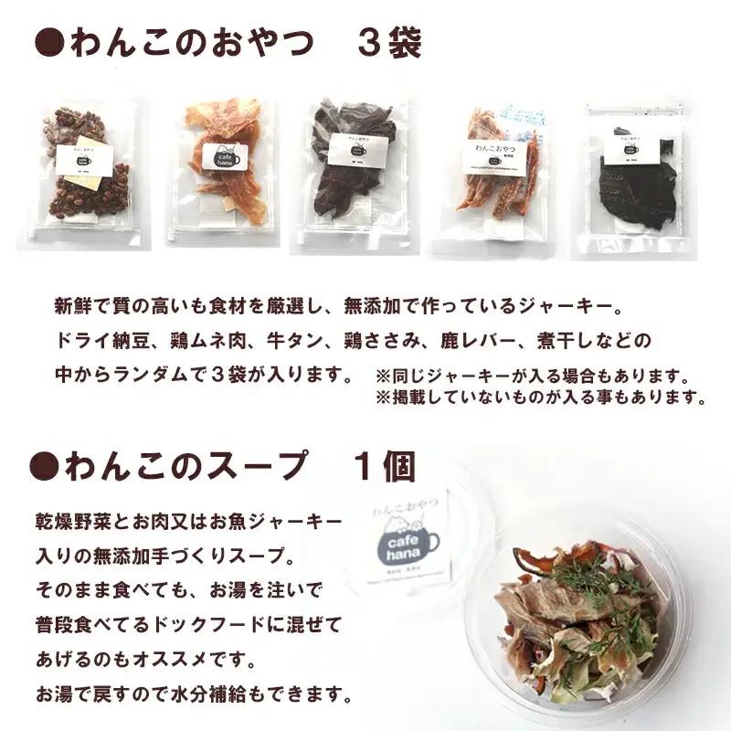 【定期便6回】わんこのお弁当セット Mサイズ