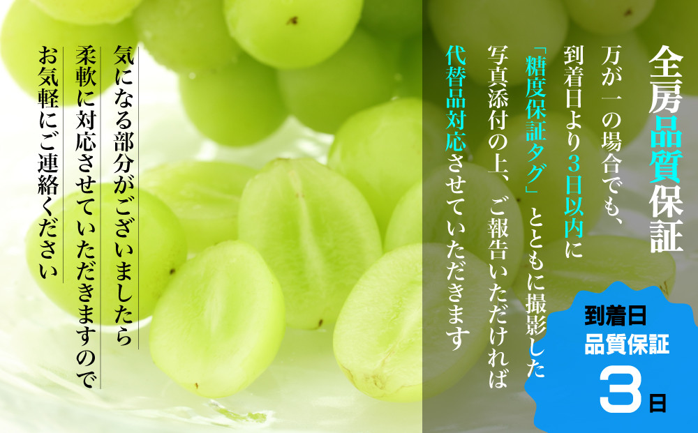 安心して笛吹市にご支援いただけるよう、検品には万全を期しておりますが、万が一の場合でも代替品で対応させていただきます。