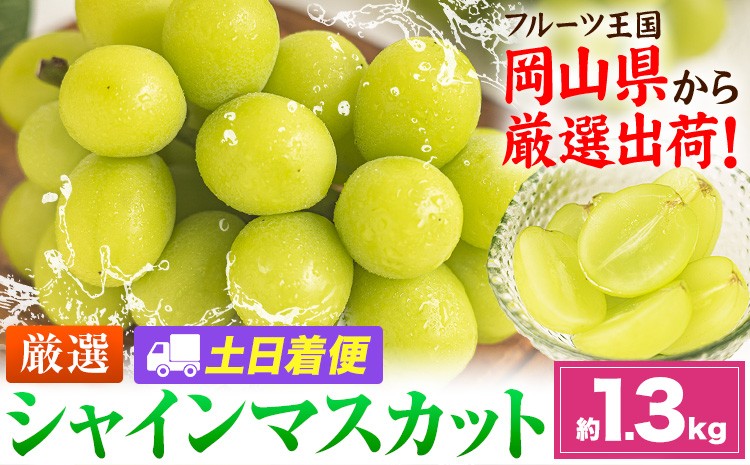
                  【土日着便】シャインマスカット 約1.3kg(2-3房)【配送不可地域あり(離島)】《2026年9月上旬-11月上旬頃出荷》岡山県 笠岡市 シャインマスカット 厳選 ぶどう ブドウ 葡萄 マスカット 果物 フルーツ ギフト
                