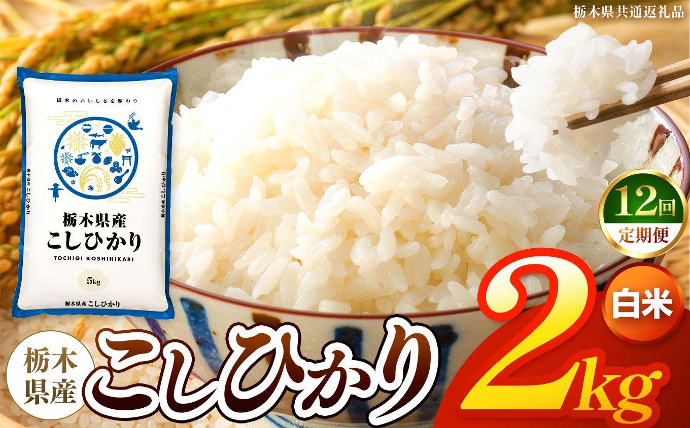 【令和8年産 新米】 【定期便12回】栃木県産 お米 こしひかり　（白米） 2kg 【2026年秋 先行予約】 |  栃木県 矢板市 【栃木県共通返礼品】 【定期便12回】白米 2kg | 58800