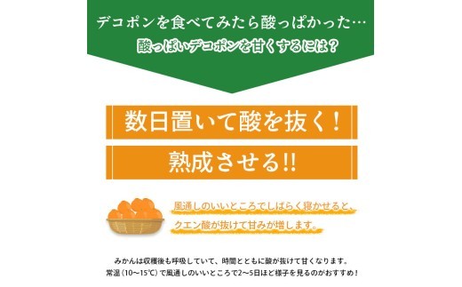 先行予約 デコポン 約1.5kg 果物 フルーツ デコポン 不知火 みかん 蜜柑 柑橘 デザート スイーツ ケーキ ジュース ゼリー アイス シャーベット ジェラート ギフト 家庭用 旬の果物 旬 お