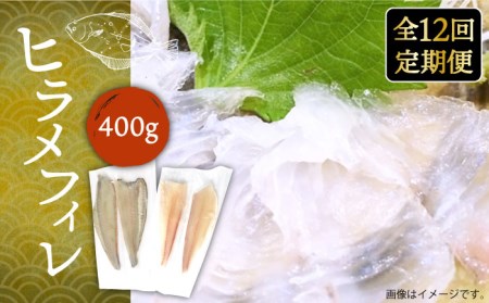 【全12回定期便】ヒラメフィレ 約400g（1尾・1kg台前後）《壱岐市》[JDT038] 刺身 刺身 刺身 刺身 刺身