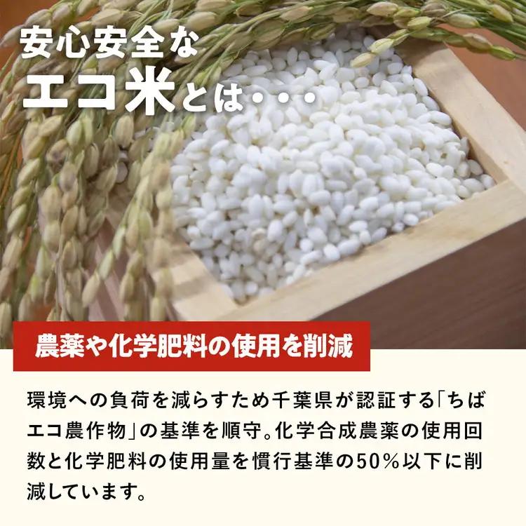 令和8年産米（数量限定）ちばエコ認定米 栄町産 コシヒカリ5kg 長谷川農園｜令和8年産 白米 精米 お米 コメ ごはん お弁当 おにぎり 人気 おすすめ 11-46