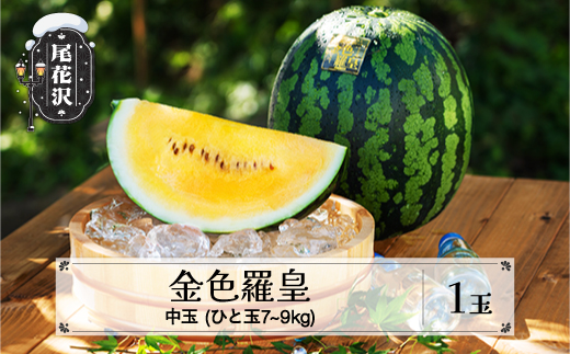 先行予約 尾花沢産すいか 金色羅皇 中玉  約7~9kg×1玉 7月下旬~8月上旬頃発送 令和8年産 2026年産 こんじきらおう 黄色 ゴールド 甘い 中玉 すいか スイカ 西瓜 フルーツ 果物 産