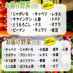 コ旬の有機栽培野菜セット 全4回 定期便 有機JAS 詰め合わせ 【野菜】【ho1552】