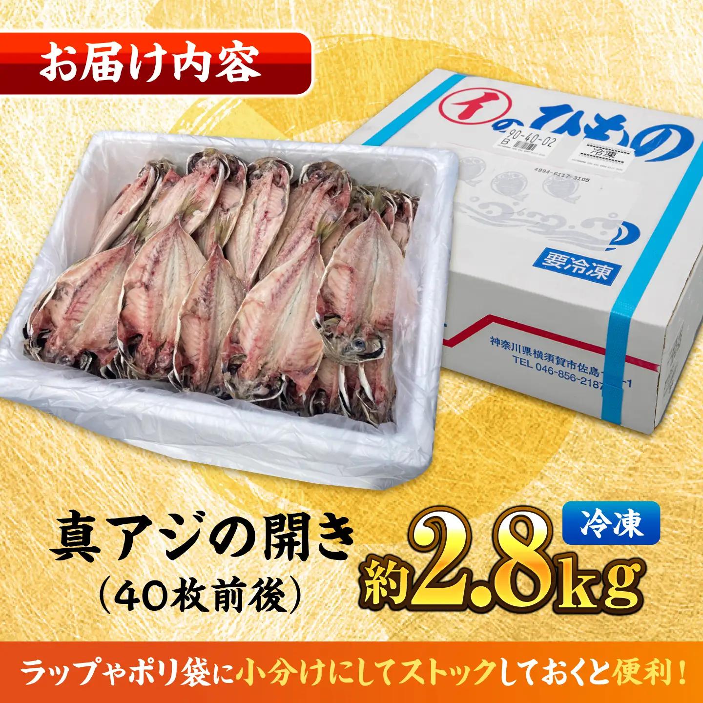 【訳あり】干物 真アジの干物 約2.8kg（40枚前後） [AKCX001]