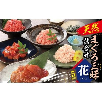 ふるさと納税 横浜市 天然まぐろ三昧詰合せ『花』　5種類10袋(各60g×2) | 