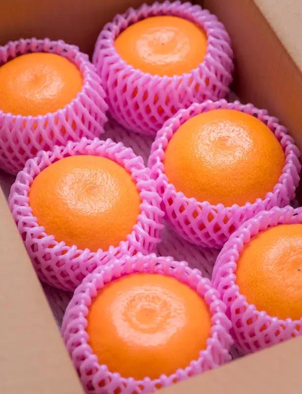 【2026年先行予約】 みかん 愛果28号 1.8kg 6玉 贈答用 紅まどんな同一品種 【2026年12月以降順次発送予定】 愛媛 数量限定 愛媛県産 人気 柑橘 フルーツ 国産 おすすめ 伊予市｜
