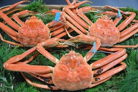 【ふるなびWEEK対象】【訳あり】金沢港 直送！サイズおまかせ ボイル 加能ガニ 3杯セット   ズワイガニ ずわい ズワイ蟹 蟹 カニ 冷蔵 人気 おすすめ 期間限定 石川 金沢 加賀百万石 加賀 