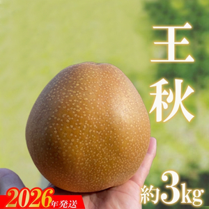 No.2735旬の特選梨 王秋 約3kg【2026年発送】