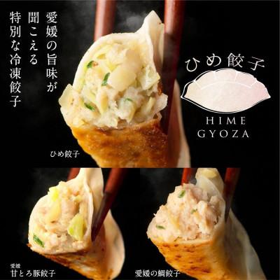 ふるさと納税 松山市 愛媛甘とろ豚餃子(18個)愛媛の鯛餃子(15個)ひめ餃子(28個)