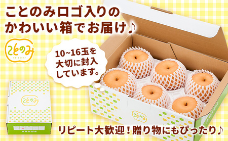 梨 梨 秀品 荒尾梨 「ことのみ」 あきづき  約4.5～5kg(10_16玉) 《9月上旬-9月中旬頃出荷》 JAたまな荒尾梨部会 梨  