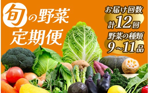 【定期便】 旬の野菜 1年間の定期便　【 野菜 やさい きのこ 山菜 セット 定期 旬 定期便 人気 詰め合わせ 12ヵ月 おまかせ 新鮮  】　<BC-64>