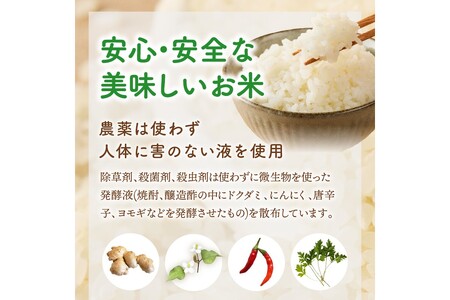 農薬・化学肥料不使用 真ちゃん米 5kg【B6-022】栽培期間中 農薬不使用 化学肥料不使用 令和5年 食品 米類 米 お米 白米 精米 5kg 5キロ 安心 安全 国産 お米 おにぎり ふるさと納