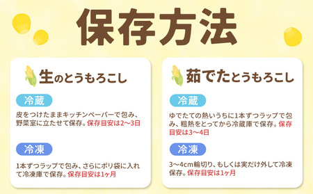 北海道産 ほしつぶコーン 18本 ジャンボサイズ 2026年予約 おかだ農園