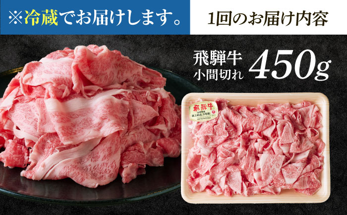 【6回定期便】 ※冷蔵配送/地域限定※ 飛騨牛 小間切 450g 瑞浪市 / きなぁた瑞浪 和牛 国産 岐阜県産 [AZCI069]