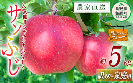 りんご サンふじ 家庭用 〜 訳あり 5kg 増田ファーム 沖縄県への配送不可 2026年11月下旬頃から2027年1月上旬頃まで順次発送予定 令和8年度収穫分 信州 果物 フルーツ リンゴ 林檎 長野 予約 農家直送 長野県 飯綱町 [0564]