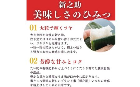 令和7年産『新之助』5kg 米・食味鑑定士お墨付き 家族みんなで愛情かけて育てた米 新潟県糸魚川産 2025年 しんのすけ 白米 百姓や伝六【米 お米 こめ 食品 人気 おすすめ ギフト 新潟県の新し