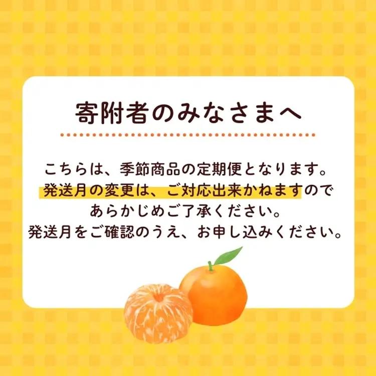 【定期便】家庭用 柑橘定期便 S 3回（7～9月）※北海道・沖縄・離島への配送不可※7月・8月・9月に発送