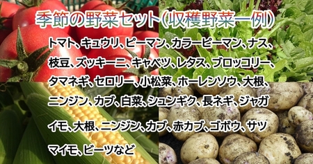 くさぶえ農園　季節の野菜セット（おまかせ6～8品目）　高原野菜　無農薬　新鮮　旬　簡単レシピ〈2024年7月1日出荷開始～2025年3月31日出荷終了〉【有機野菜 有機栽培　くさぶえ農園　農薬や化学肥