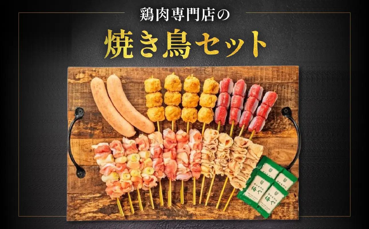 鶏肉専門店の焼き鳥セット（焼き鳥20本・チキンソーセージ２本・焼き鳥たれ(10ml)４パック付） AGQ0003