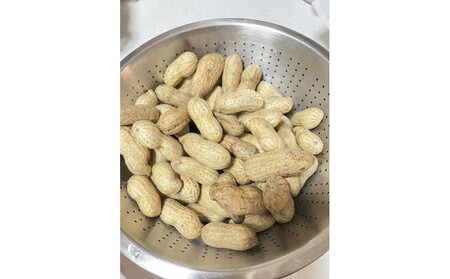 愛知県豊田市産 【生落花生】 1.5kg