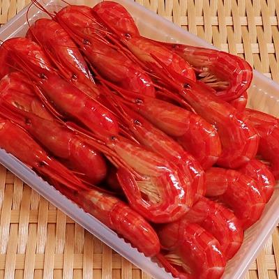 ふるさと納税 根室市 北海しまえび500g×1P A-11255 |  | 01