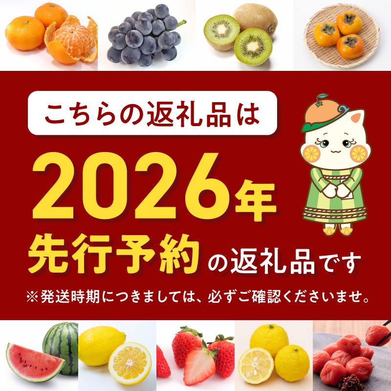 【秀品】【2026先行予約】有田みかん 和歌山県有田産 10kg (2S～Lサイズ混合) 【まごころ手選別】【産地直送】_ZE6449