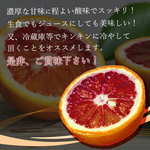 【先行予約】 家庭用 ブラッド オレンジ 5kg 紀州有田産 希少な柑橘フルーツ!