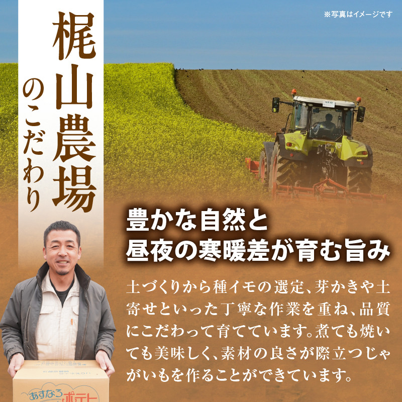 今が旬！すぐ届く！北海道の味覚定番！鮮やかな黄色と甘みが特徴の「キタアカリ」 ホクホク！しっとりなめらか！ 【北海道産 キタアカリ いも じゃがいも きたあかり イモ 約10kg じゃがいも いも 芋